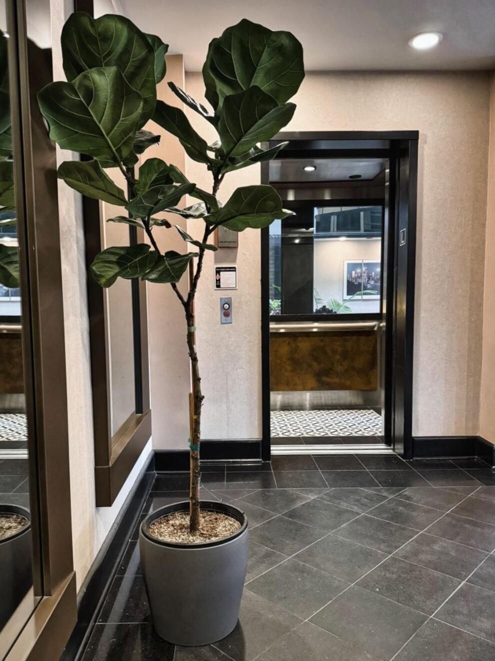 Hotel International Lynnwood Εξωτερικό φωτογραφία